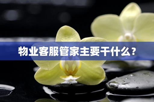 物业客服管家主要干什么？
