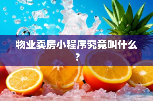 物业卖房小程序究竟叫什么？