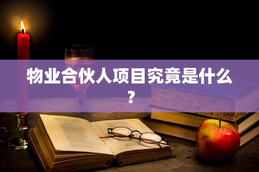 物业合伙人项目究竟是什么？