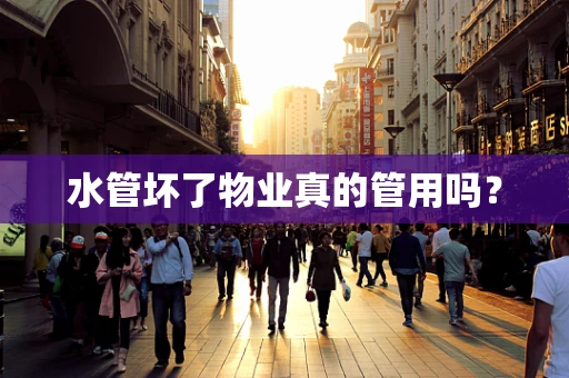 水管坏了物业真的管用吗？