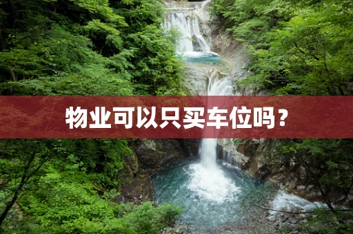 物业可以只买车位吗？