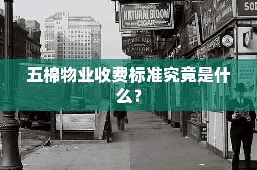 五棉物业收费标准究竟是什么？