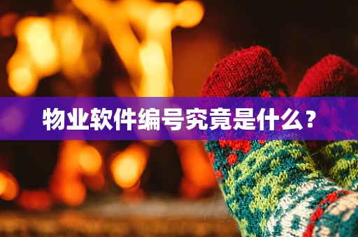 物业软件编号究竟是什么？