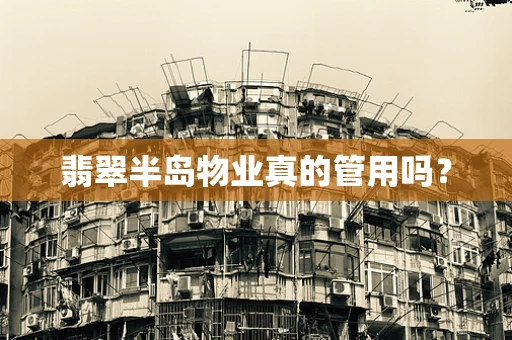 翡翠半岛物业真的管用吗？