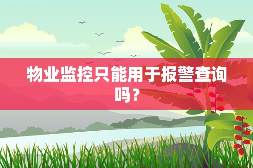物业监控只能用于报警查询吗？