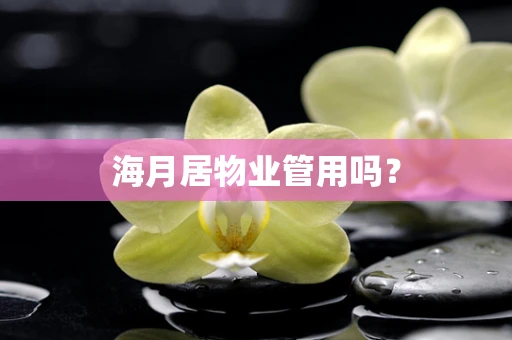海月居物业管用吗？
