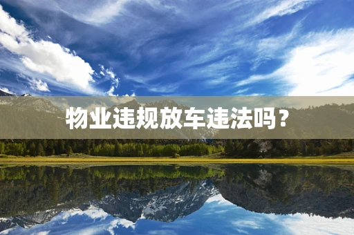 物业违规放车违法吗？