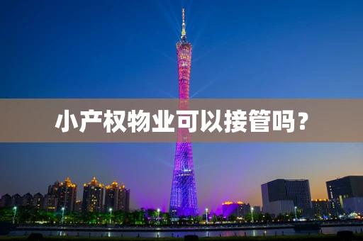 小产权物业可以接管吗？