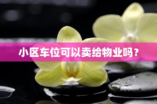 小区车位可以卖给物业吗？