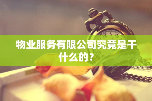 物业服务有限公司究竟是干什么的？