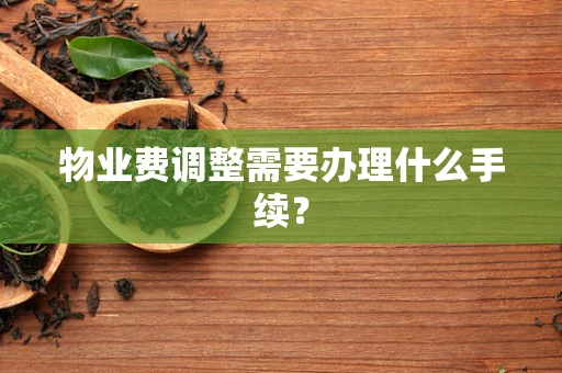物业费调整需要办理什么手续？