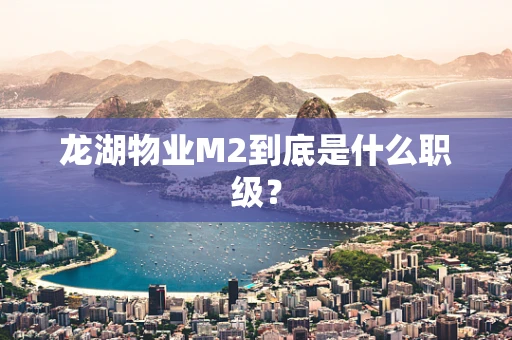 龙湖物业M2到底是什么职级？