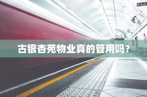 古银杏苑物业真的管用吗？