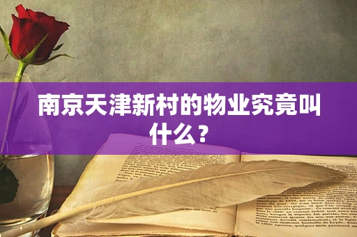 南京天津新村的物业究竟叫什么？