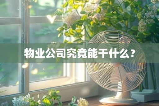 物业公司究竟能干什么？