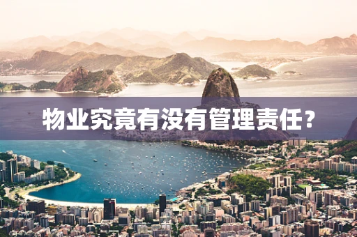 物业究竟有没有管理责任？