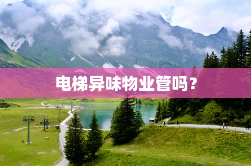 电梯异味物业管吗？