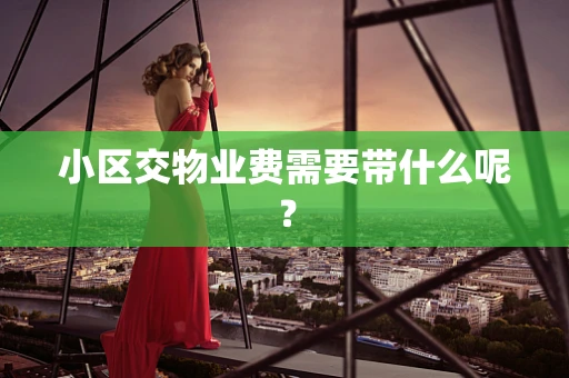 小区交物业费需要带什么呢？