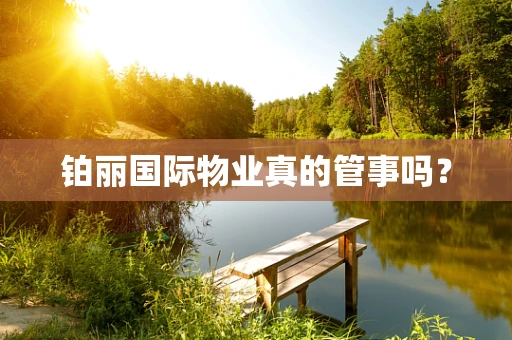 铂丽国际物业真的管事吗？