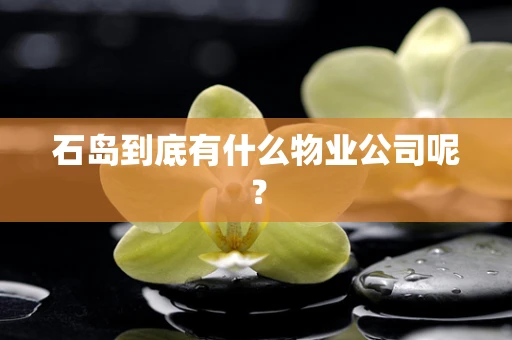 石岛到底有什么物业公司呢？