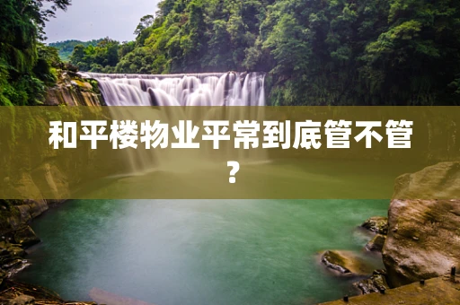和平楼物业平常到底管不管？