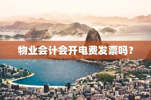 物业会计会开电费发票吗？