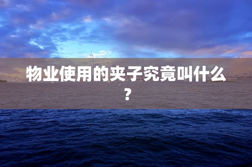 物业使用的夹子究竟叫什么？