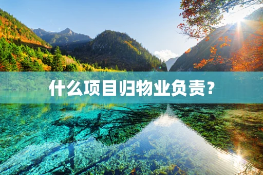 什么项目归物业负责？