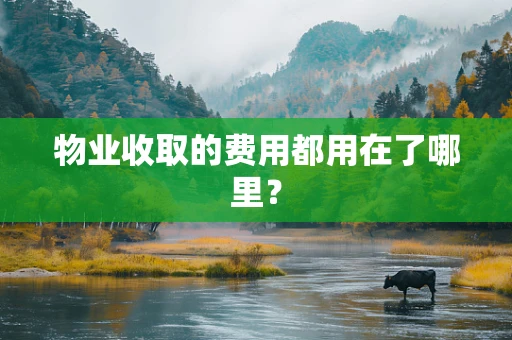 物业收取的费用都用在了哪里？