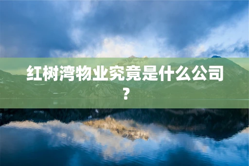 红树湾物业究竟是什么公司？