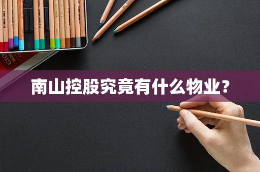 南山控股究竟有什么物业？