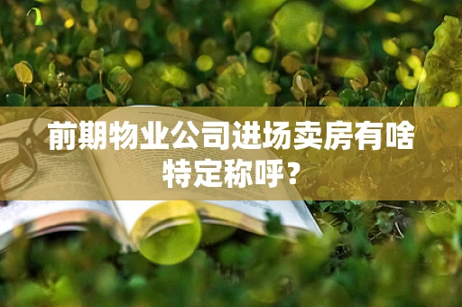 前期物业公司进场卖房有啥特定称呼？