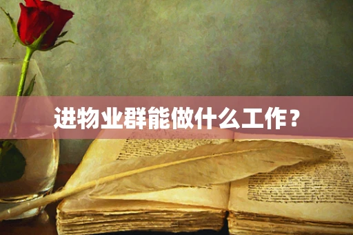 进物业群能做什么工作？