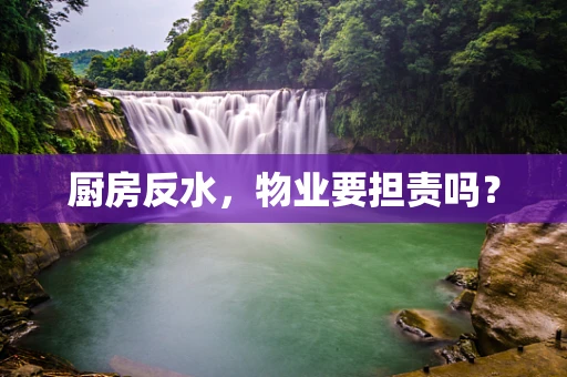 厨房反水，物业要担责吗？