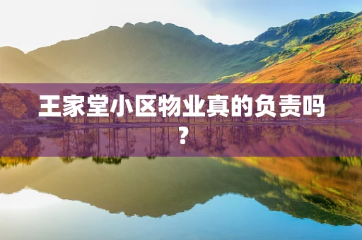 王家堂小区物业真的负责吗？