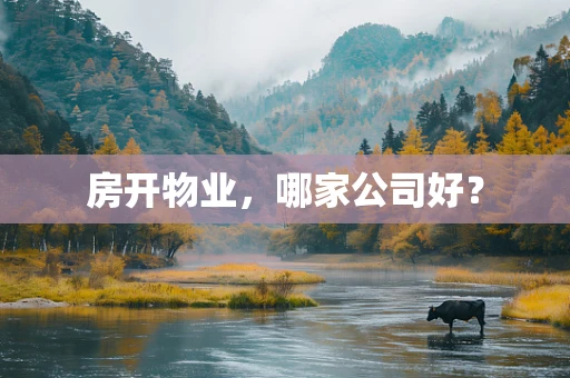 房开物业，哪家公司好？