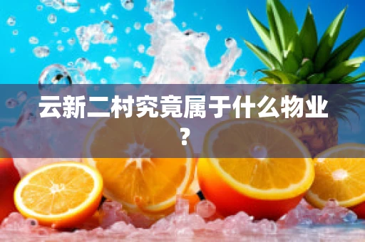 云新二村究竟属于什么物业？