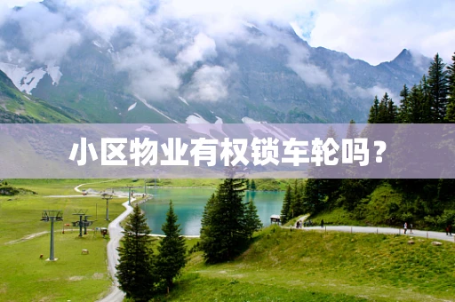 小区物业有权锁车轮吗？