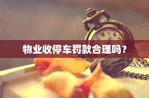 物业收停车罚款合理吗？