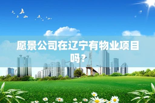愿景公司在辽宁有物业项目吗？