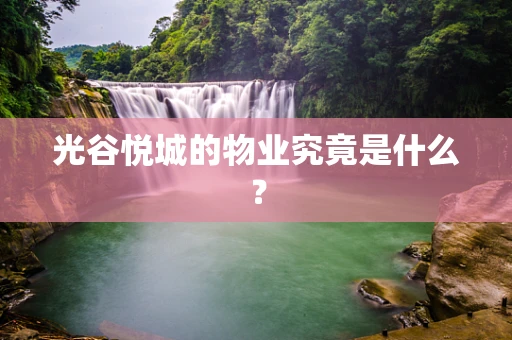 光谷悦城的物业究竟是什么？