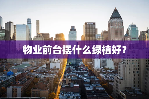 物业前台摆什么绿植好？