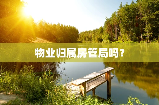 物业归属房管局吗？