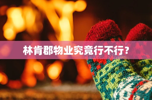 林肯郡物业究竟行不行？