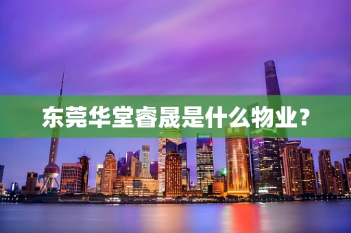 东莞华堂睿晟是什么物业？