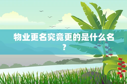 物业更名究竟更的是什么名？