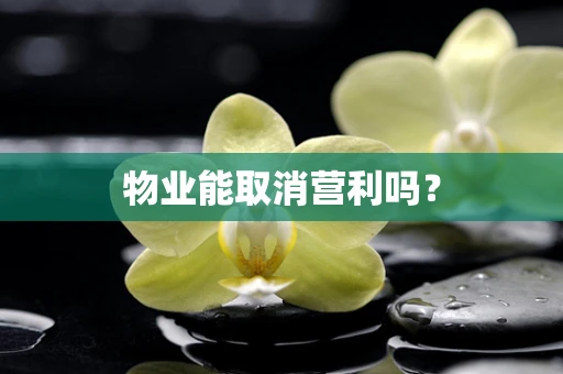 物业能取消营利吗？