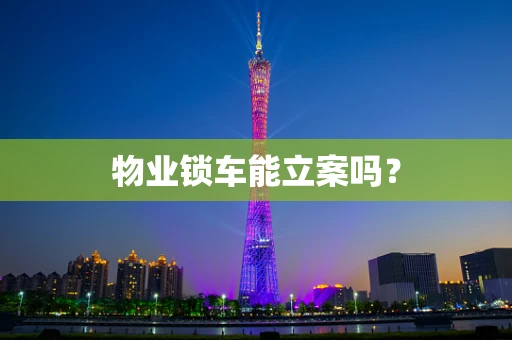 物业锁车能立案吗？
