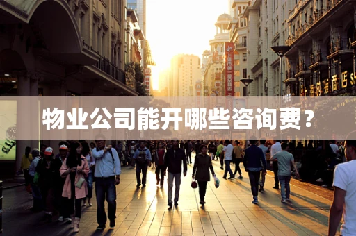 物业公司能开哪些咨询费？