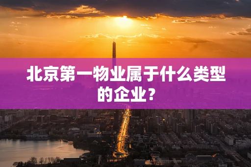 北京第一物业属于什么类型的企业？